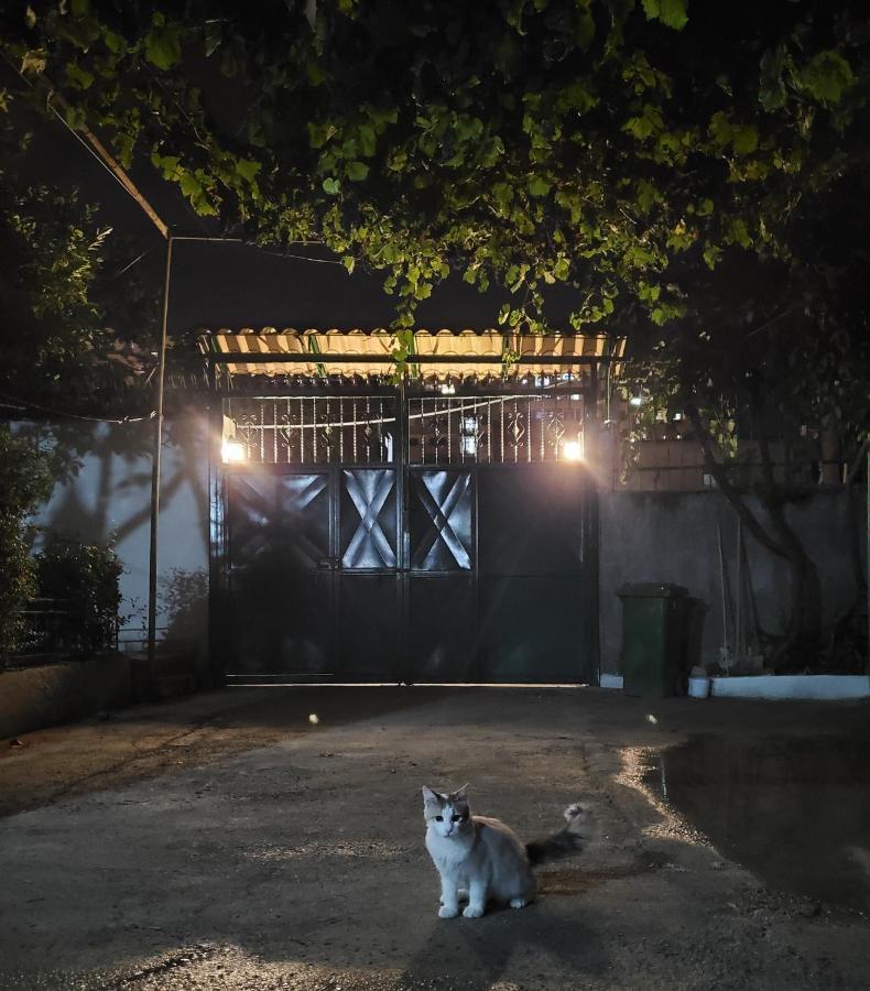 Unique Traditional House, Hosted By J&G Tirana Exterior foto