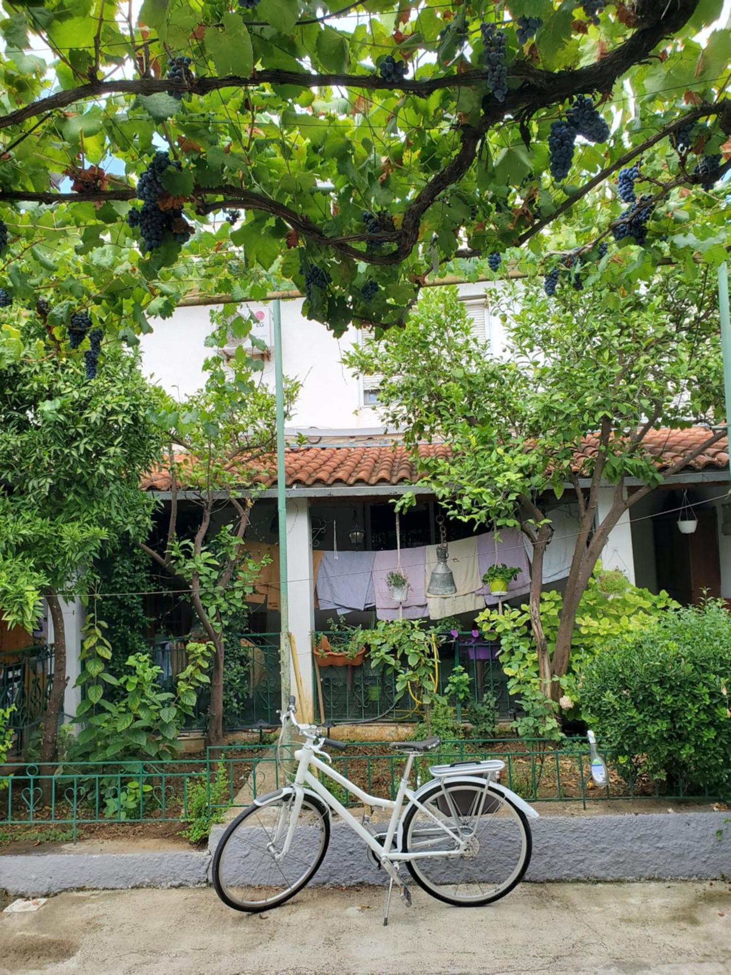 Unique Traditional House, Hosted By J&G Tirana Exterior foto